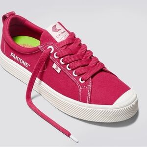 Cariuma x Pantone Viva Magenta Canvas Sneaker